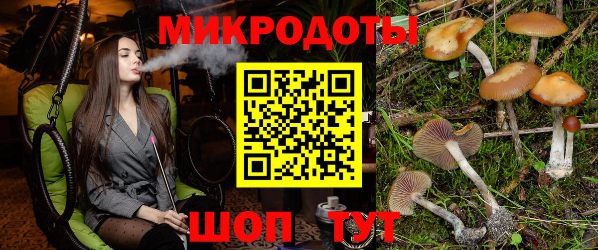 Галлюциногенные грибы Magic Shrooms  Вход с VPN  Кисловодск 