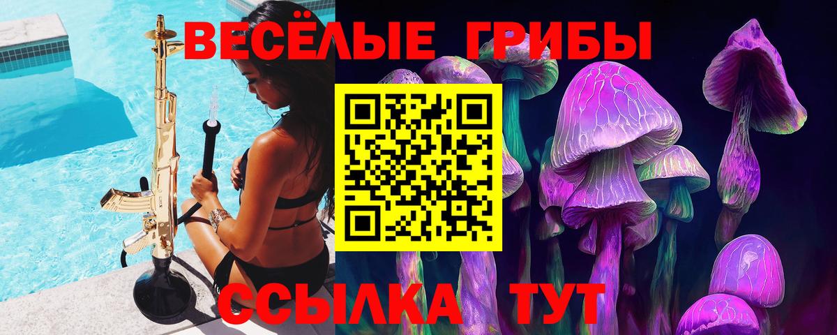 Галлюциногенные грибы прущие грибы Кисловодск